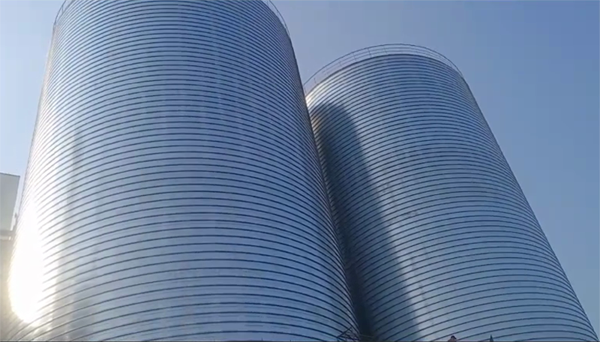 长洲2座混凝土高架卷板仓